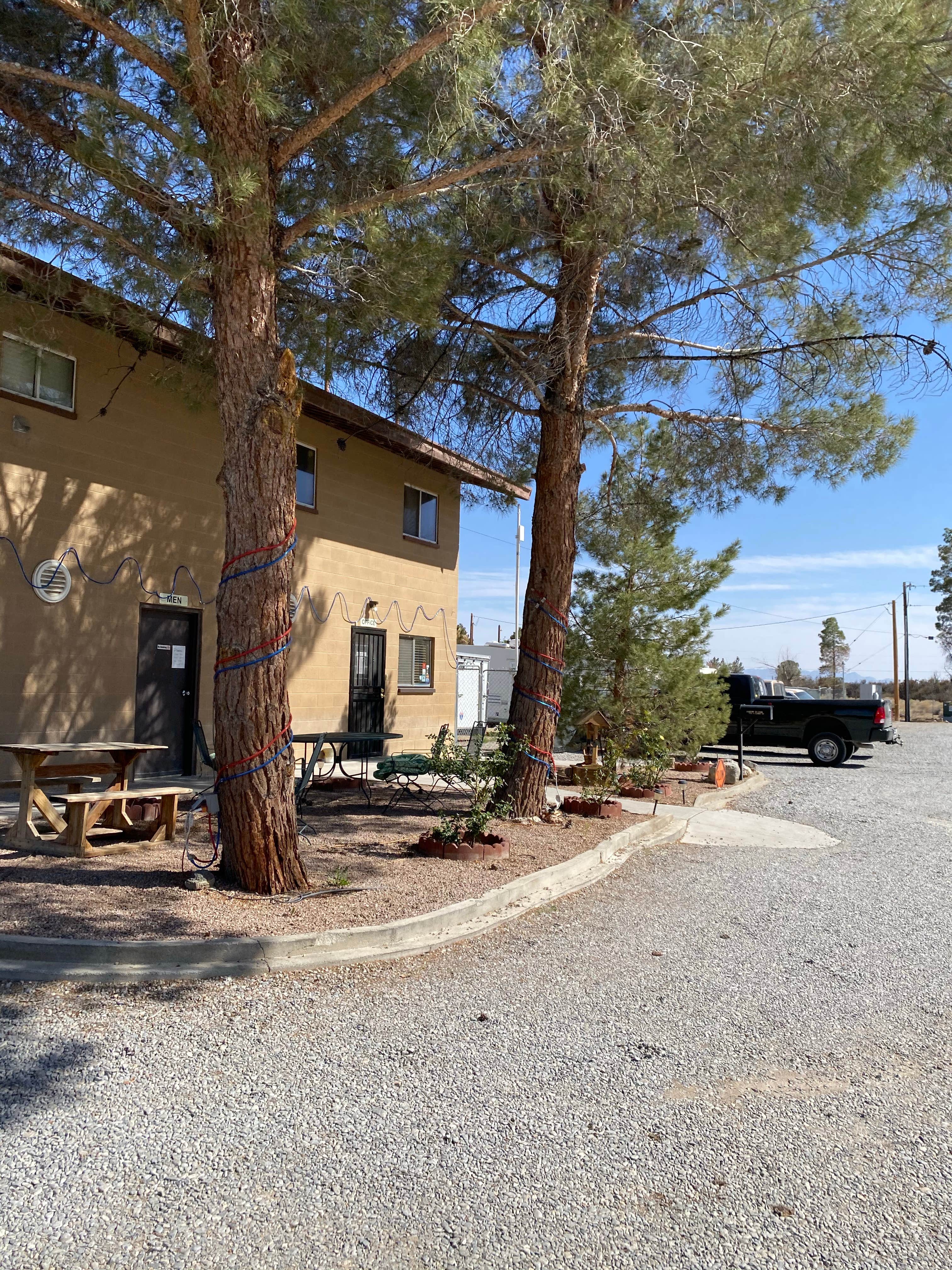 Camper submitted image from Pahrump RV Park - 3