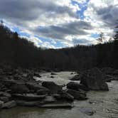 Review photo of Bandy Creek Campground — Big South Fork National River and Recreation Area by Sarah N., July 16, 2016