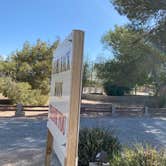 Review photo of Pahrump RV Park by Brittney  C., June 16, 2021