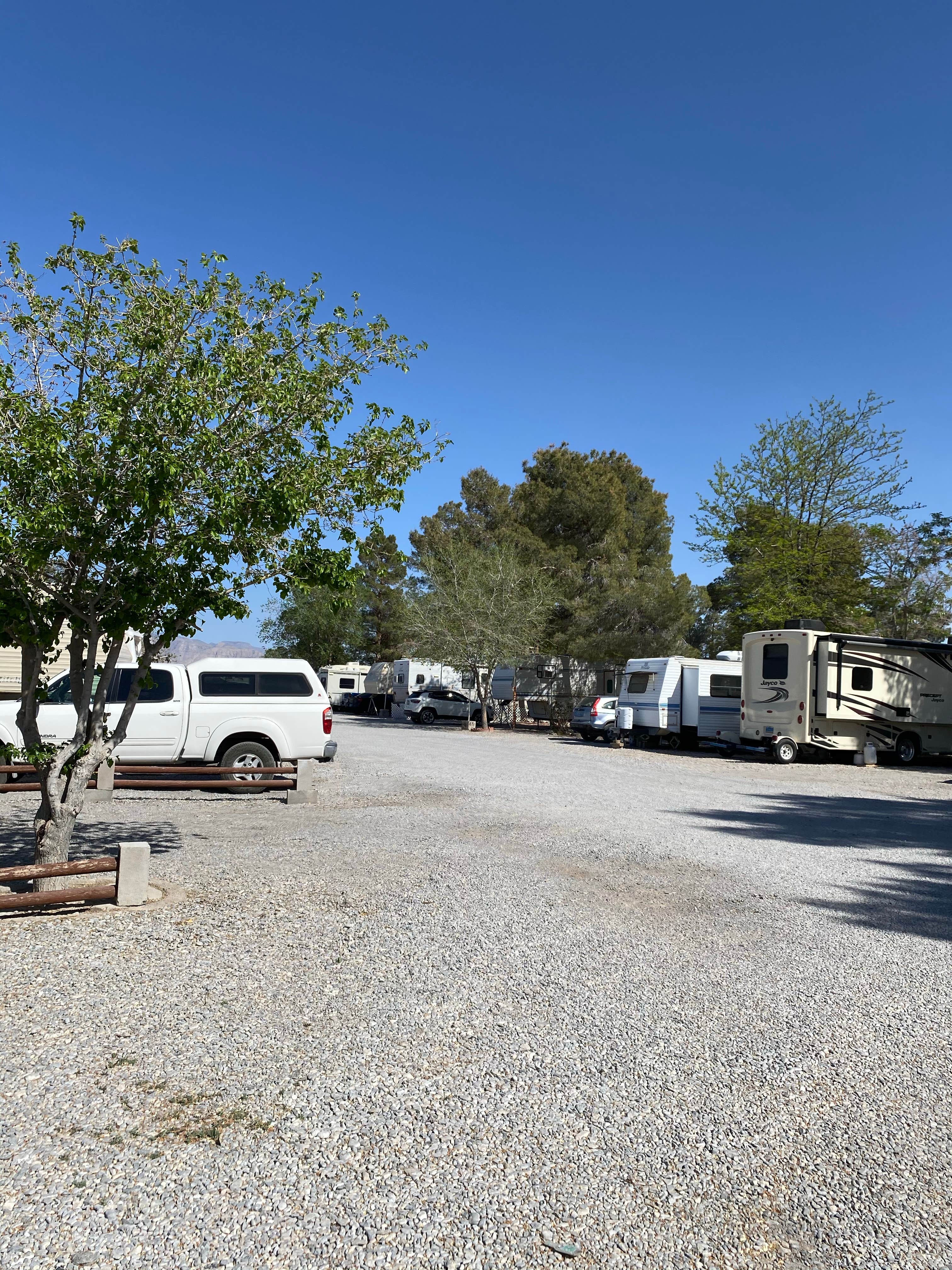 Camper submitted image from Pahrump RV Park - 5