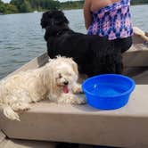 Review photo of Waterloo Portage Lake Modern — Waterloo Recreation Area by Justin G., June 10, 2018