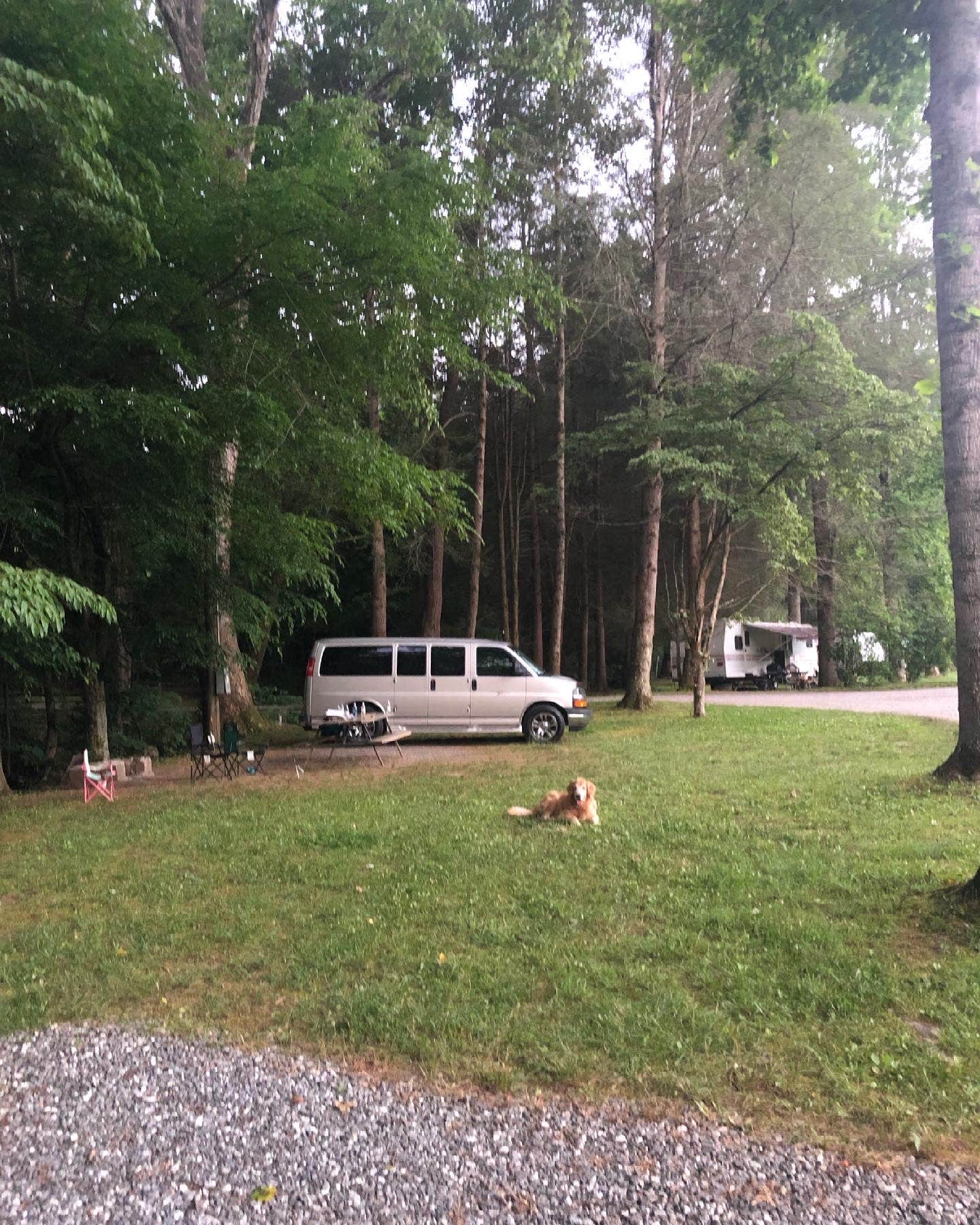 Camper submitted image from Timberlake Campground - 1