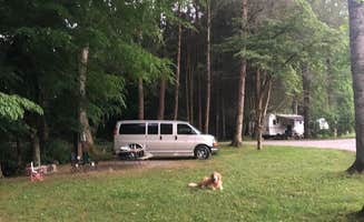Amanda A.'s photo of camping with pets at Timberlake Campground in North Carolina
