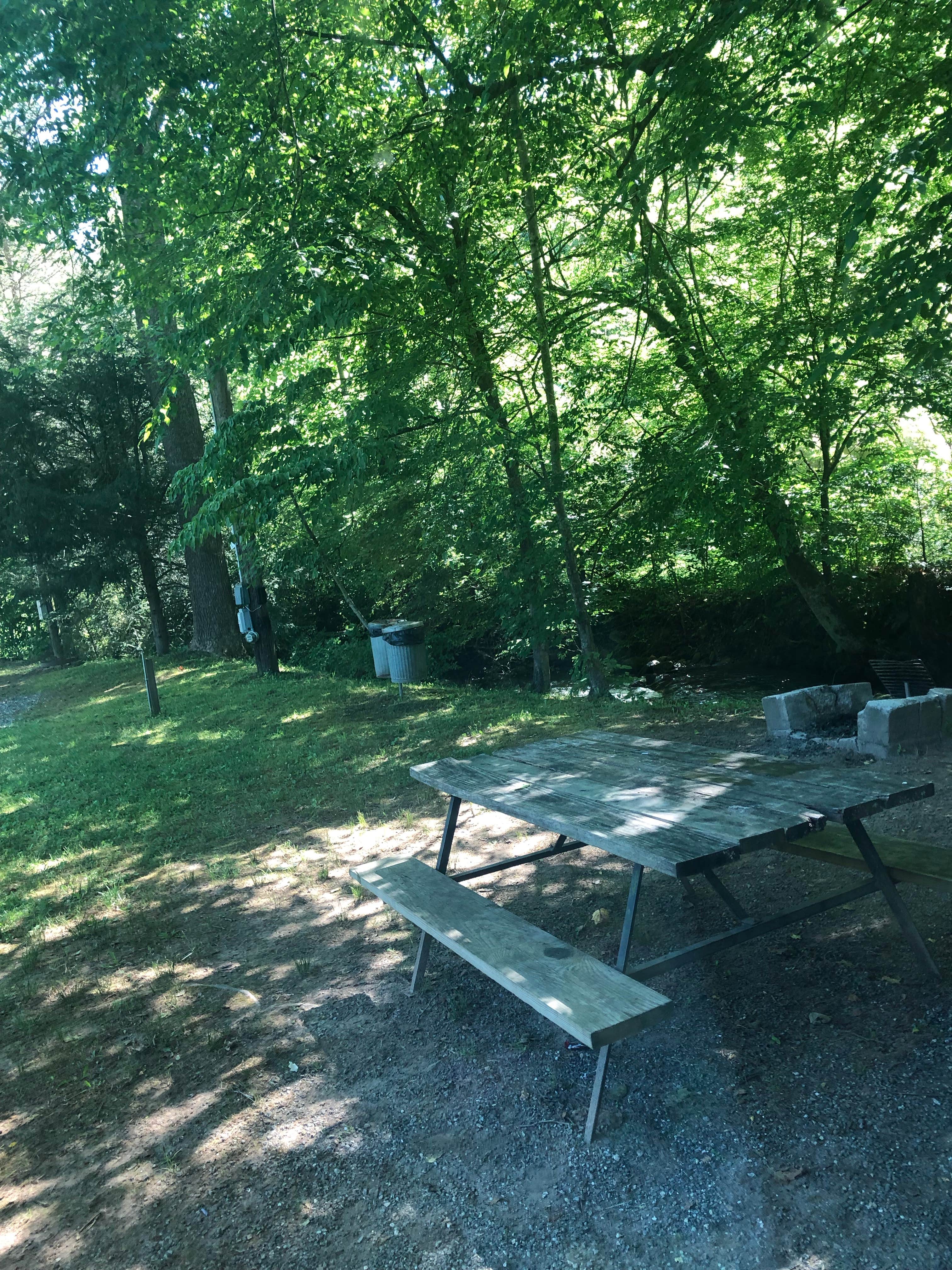 Camper-submitted photo at Timberlake Campground near Cullowhee, NC