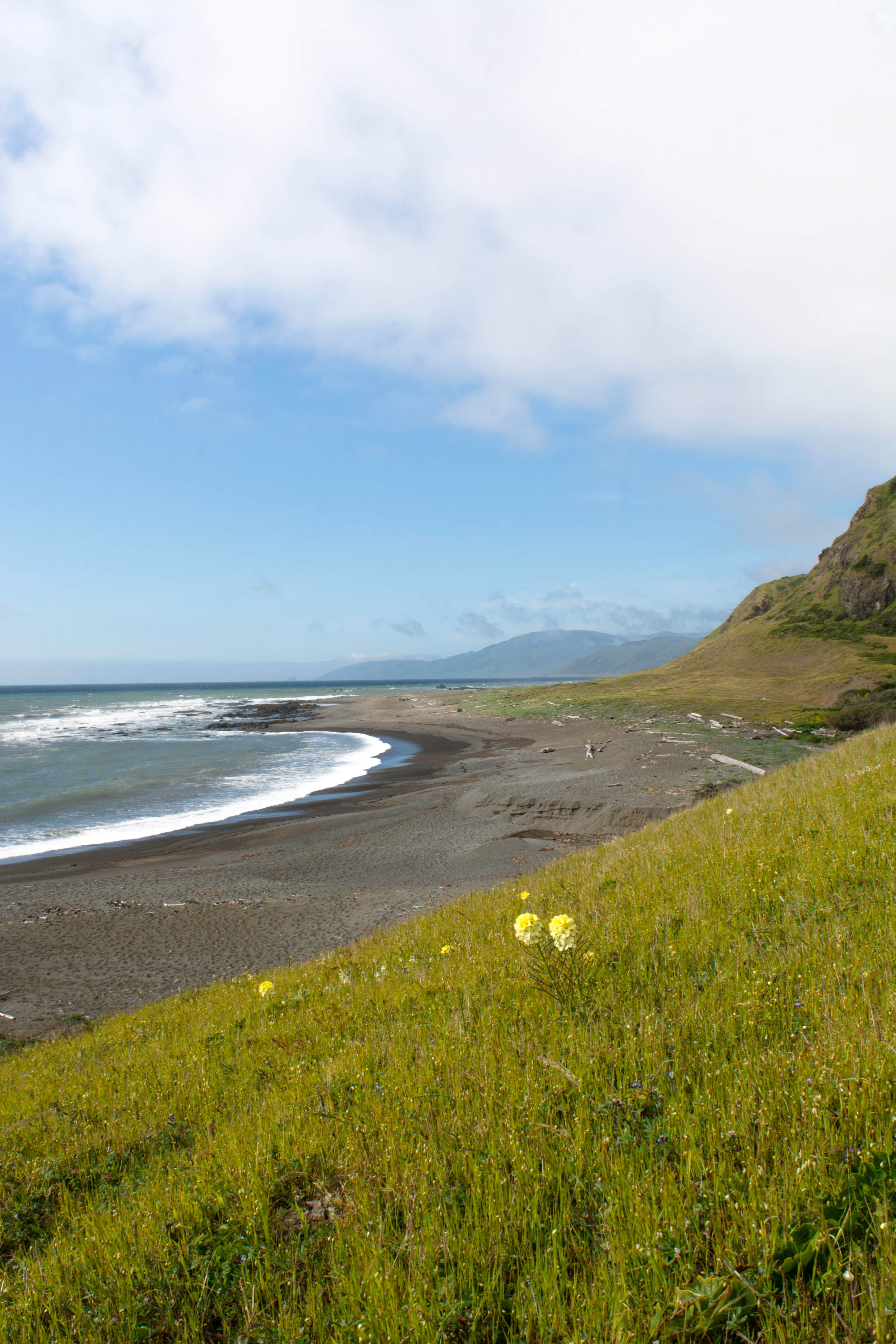 Camper-submitted photo at King Range Conservation Area near Ferndale, CA
