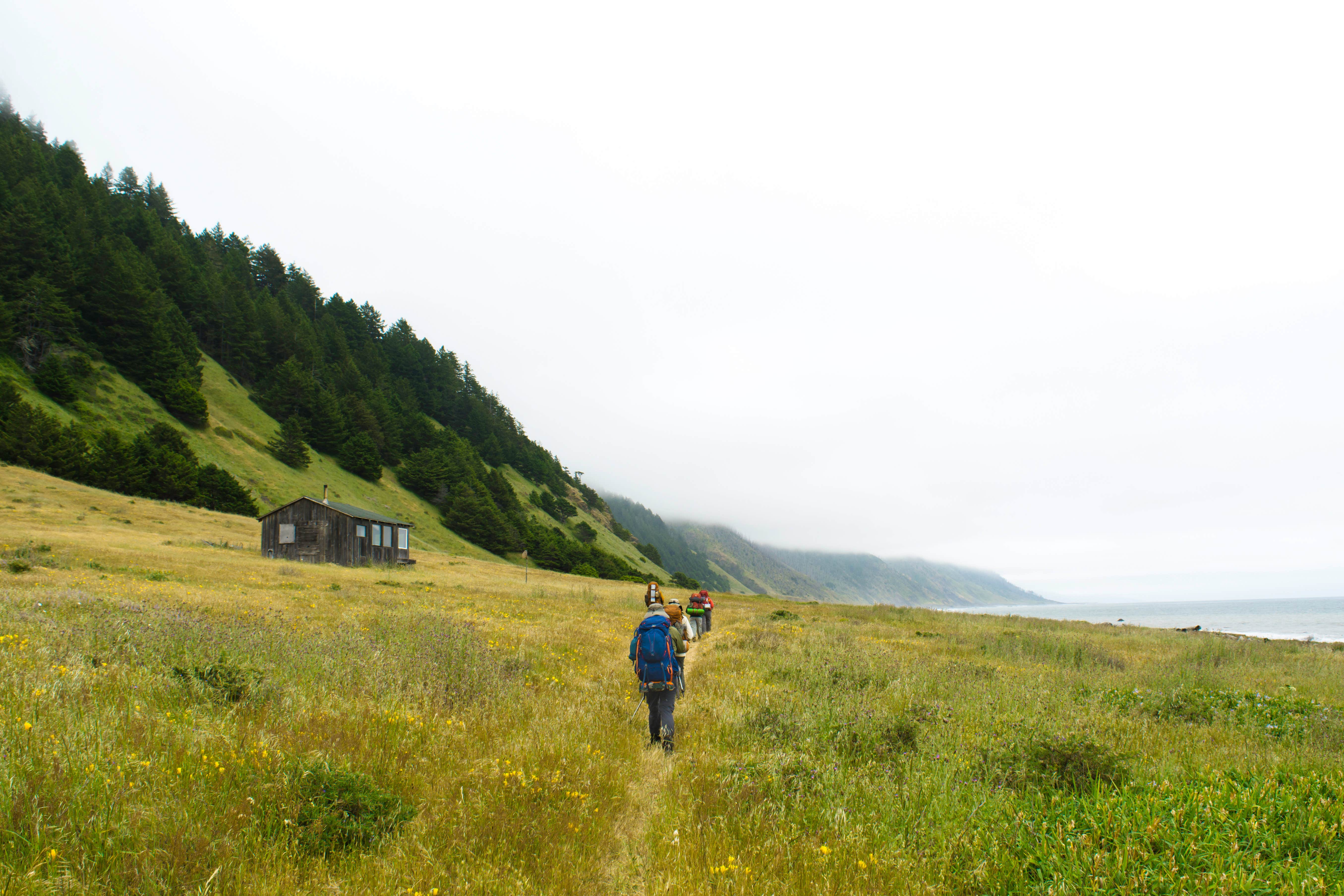 Camper-submitted photo at King Range Conservation Area near Ferndale, CA