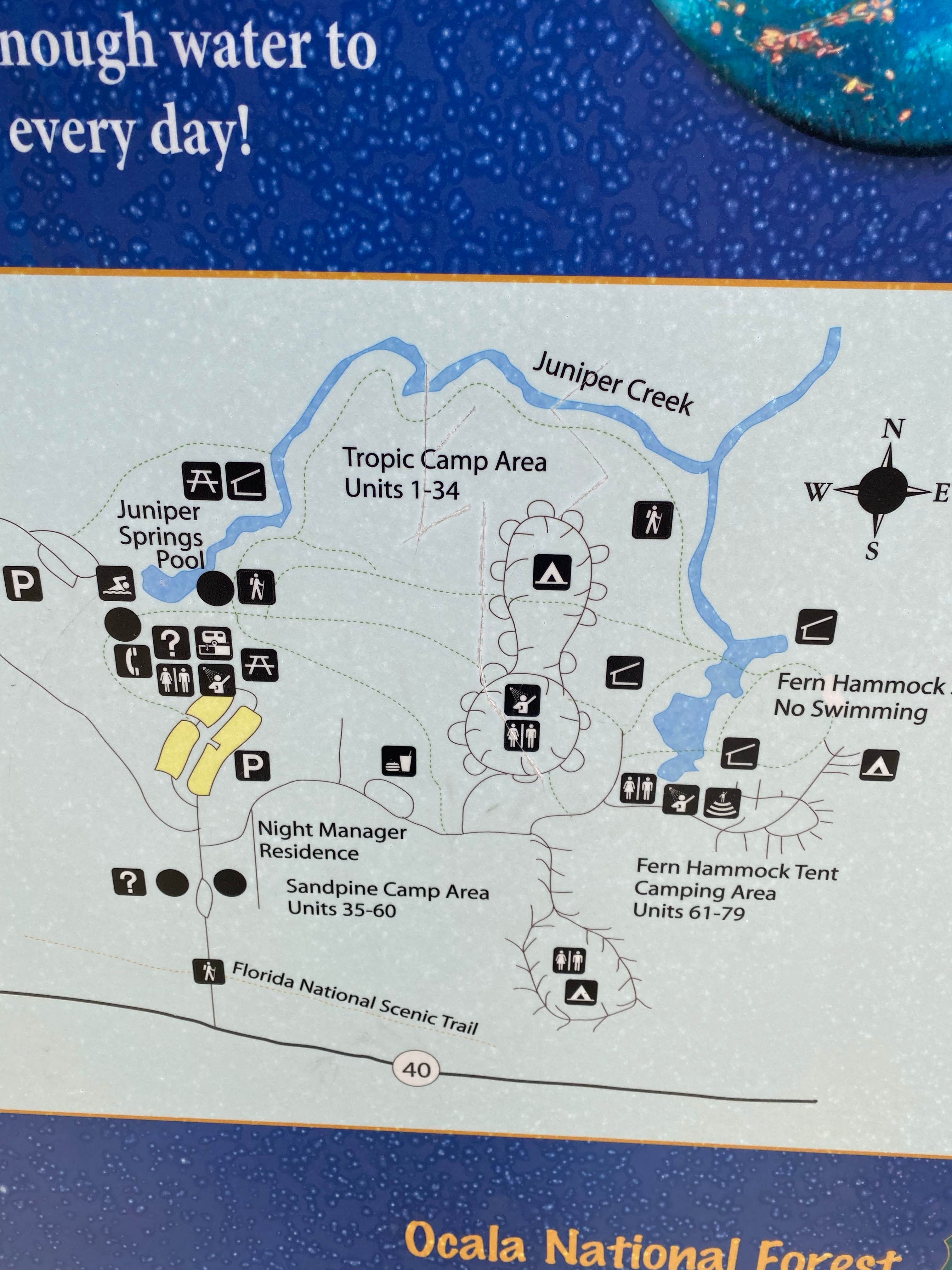 Best camping in Ocala National Forest  The Dyrt