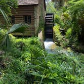 Review photo of Juniper Springs Rec Area - Tropical Camp Area by Hannah S., June 16, 2021