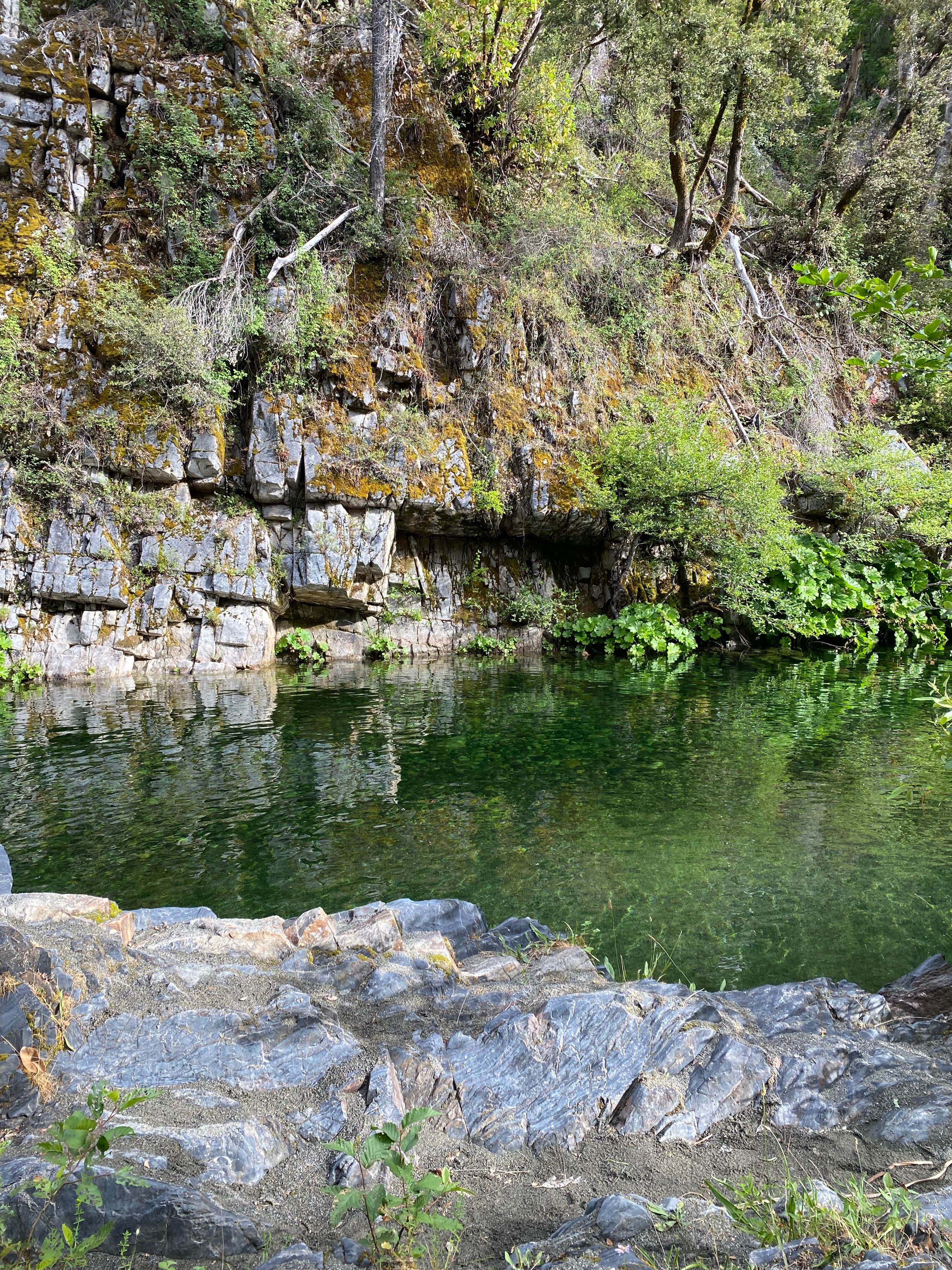 Camper submitted image from Dillon Creek Campground - 2