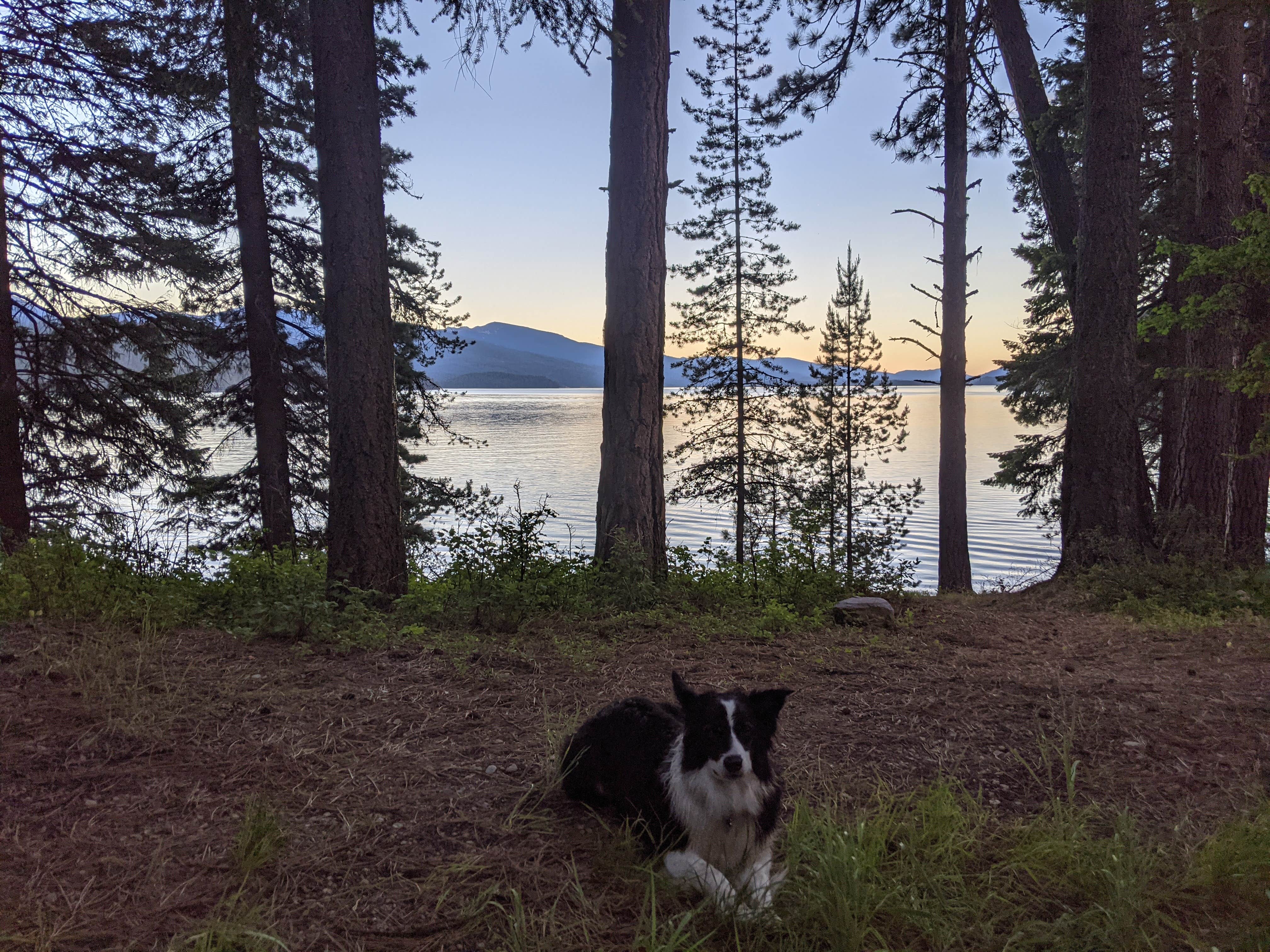 Mark Z.'s photo of camping with pets at Reeder Bay Campground near Ione, WA