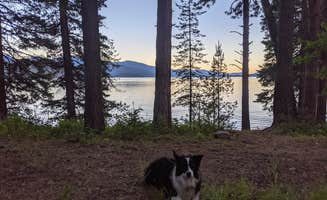 Mark Z.'s photo of camping with pets at Reeder Bay Campground near Cusick, WA
