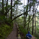 Review photo of Pantoll Campground — Mount Tamalpais State Park by jesus R., June 16, 2021