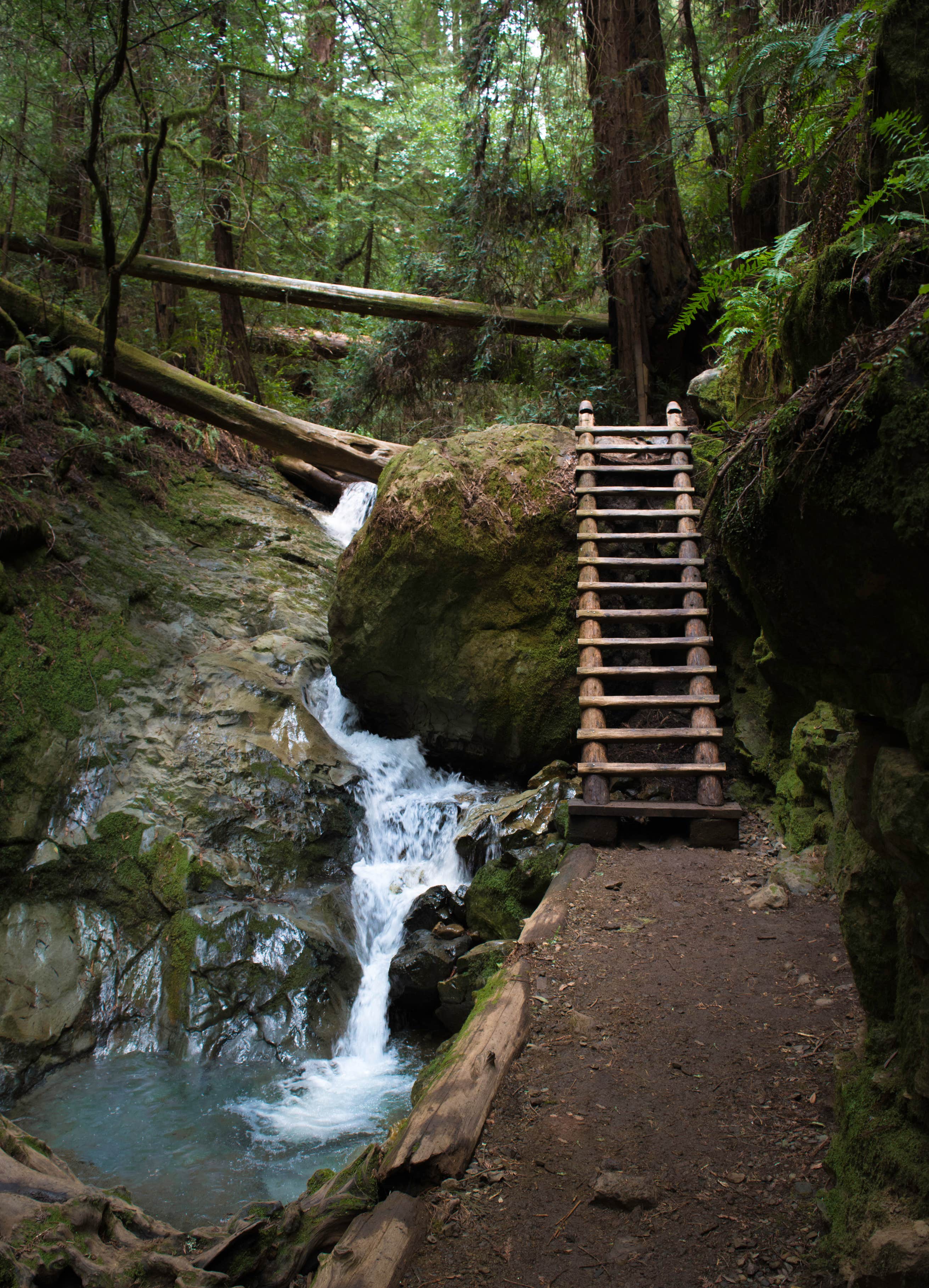 Mount Tamalpais State Park | The Dyrt