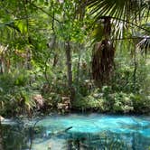 Review photo of Juniper Springs Rec Area - Tropical Camp Area by Hannah S., June 16, 2021