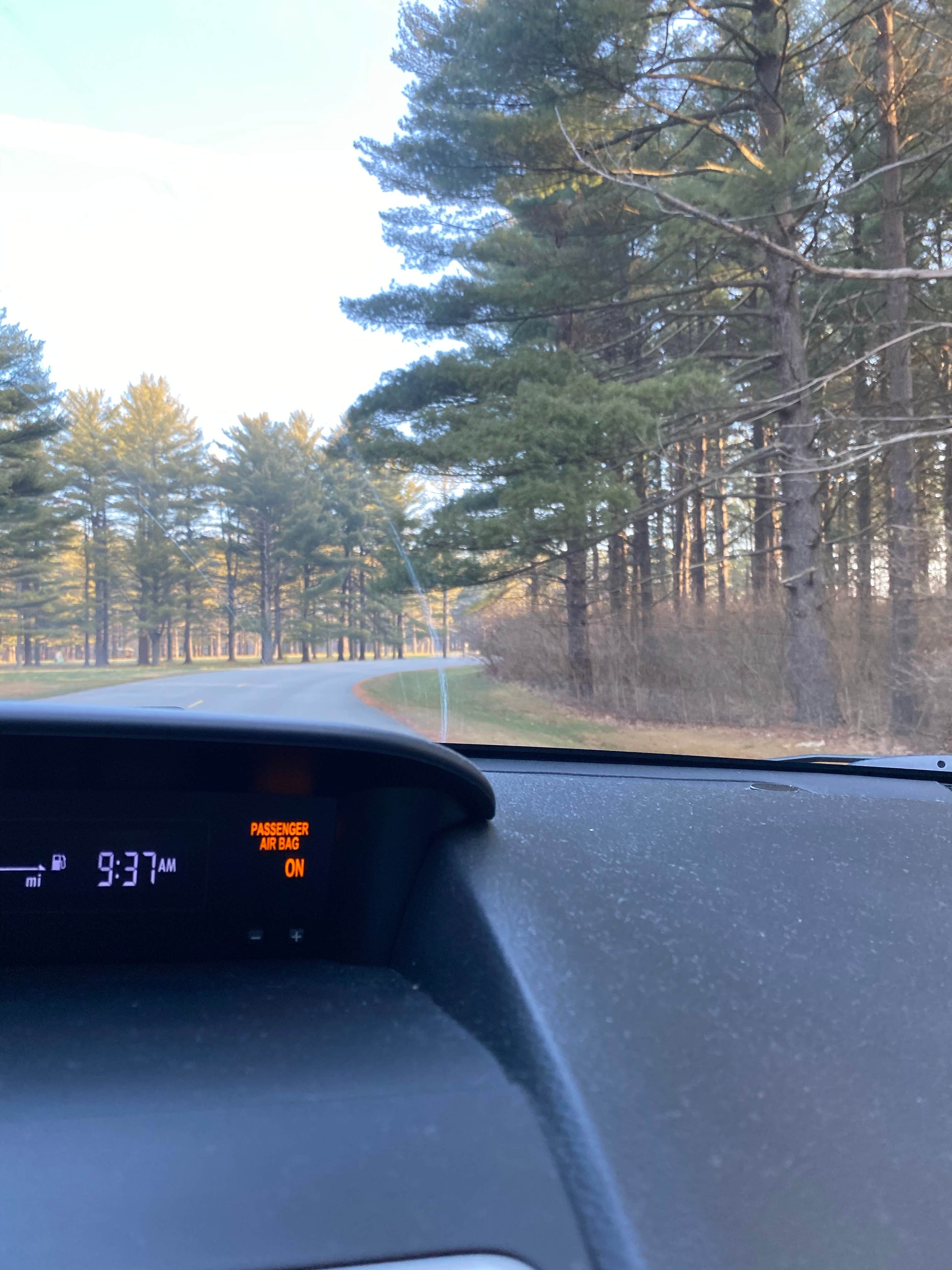 Camping near Spring Lake Park: Twisted Oak Campground — Argyle Lake State Park, Colchester, Illinois