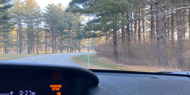 Camper submitted image from Twisted Oak Campground — Argyle Lake State Park