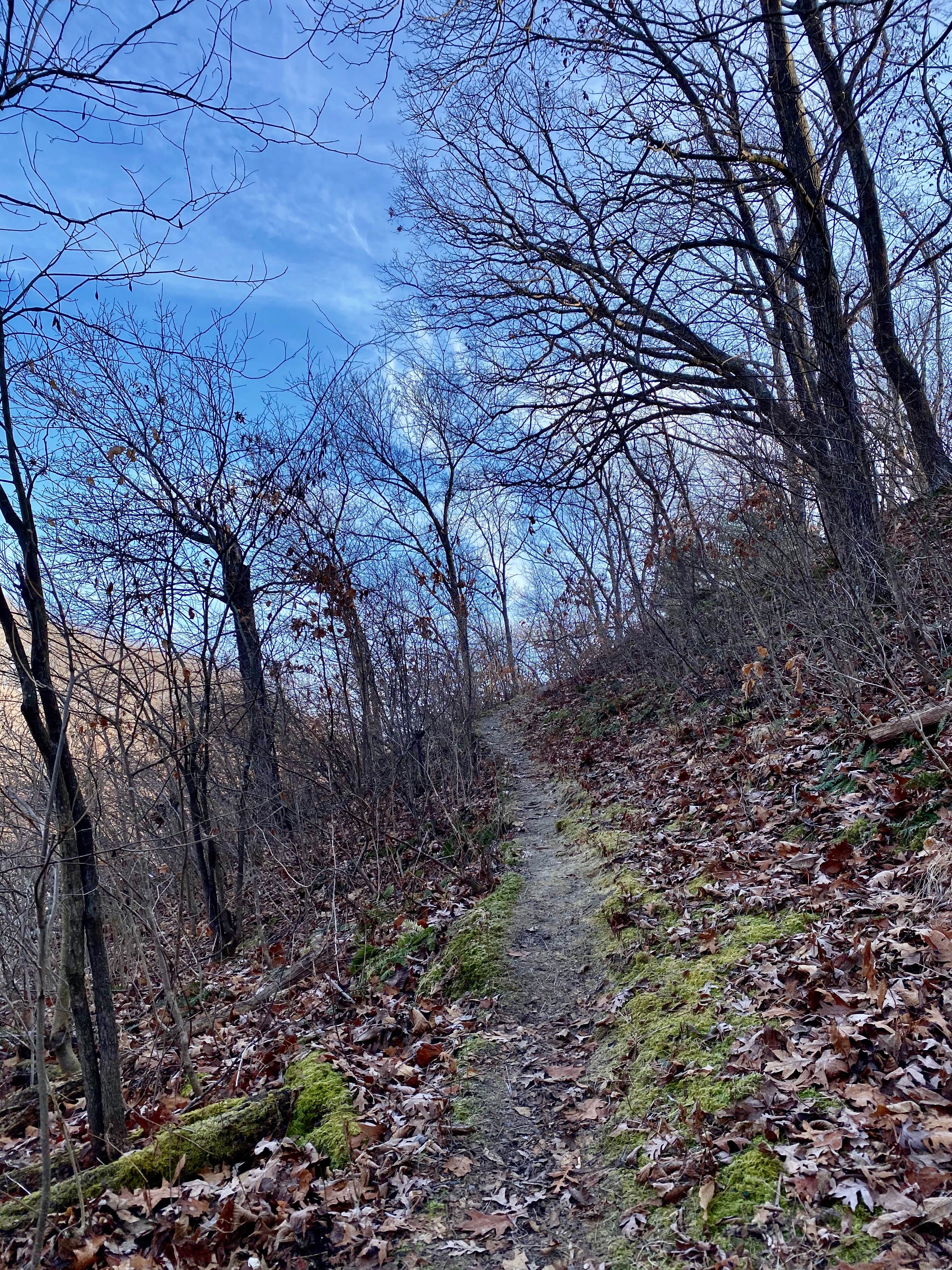 Camper submitted image from Twisted Oak Campground — Argyle Lake State Park - 3