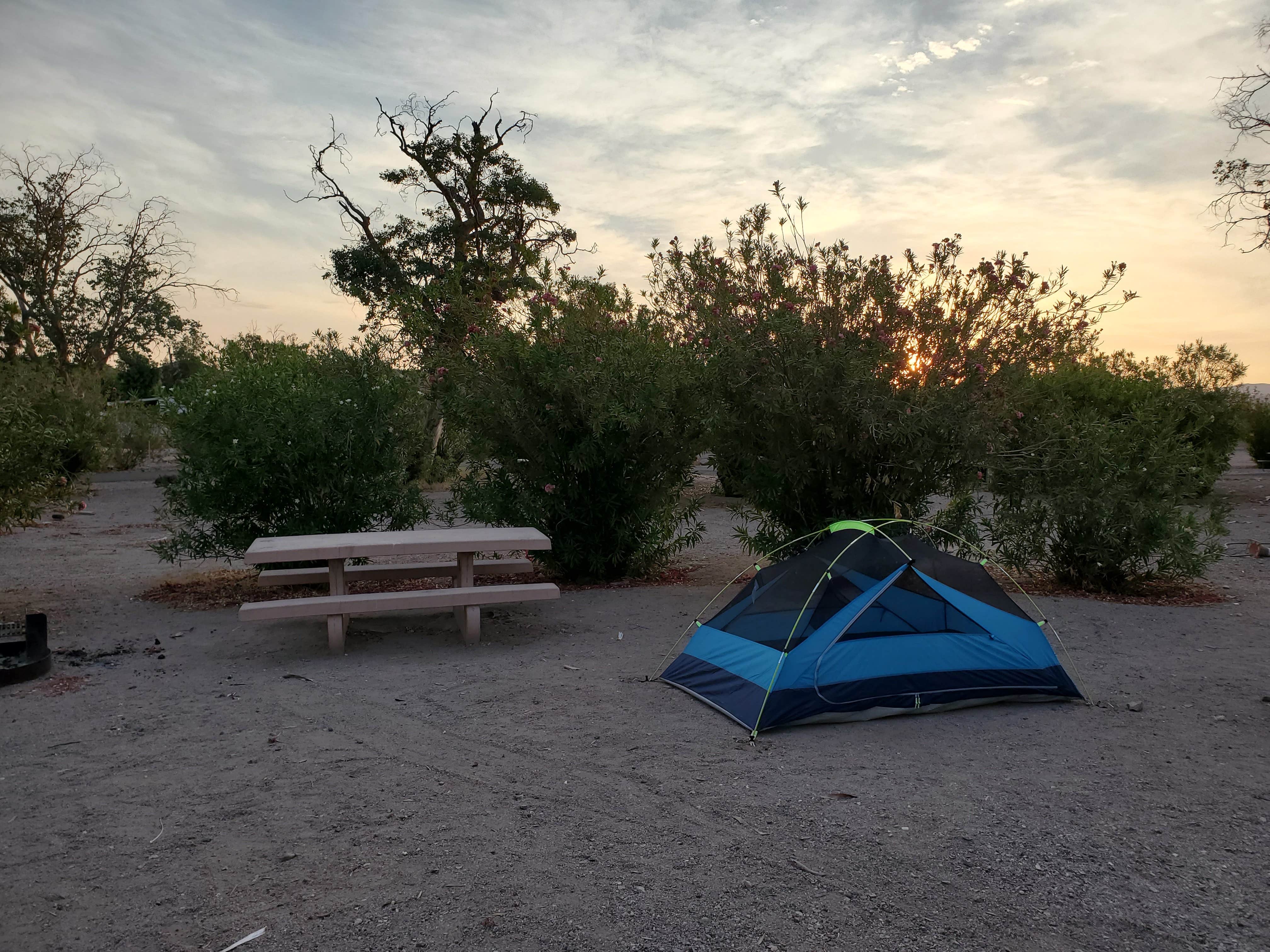 Brandon's photo at Katherine Landing North Campground near Searchlight, NV