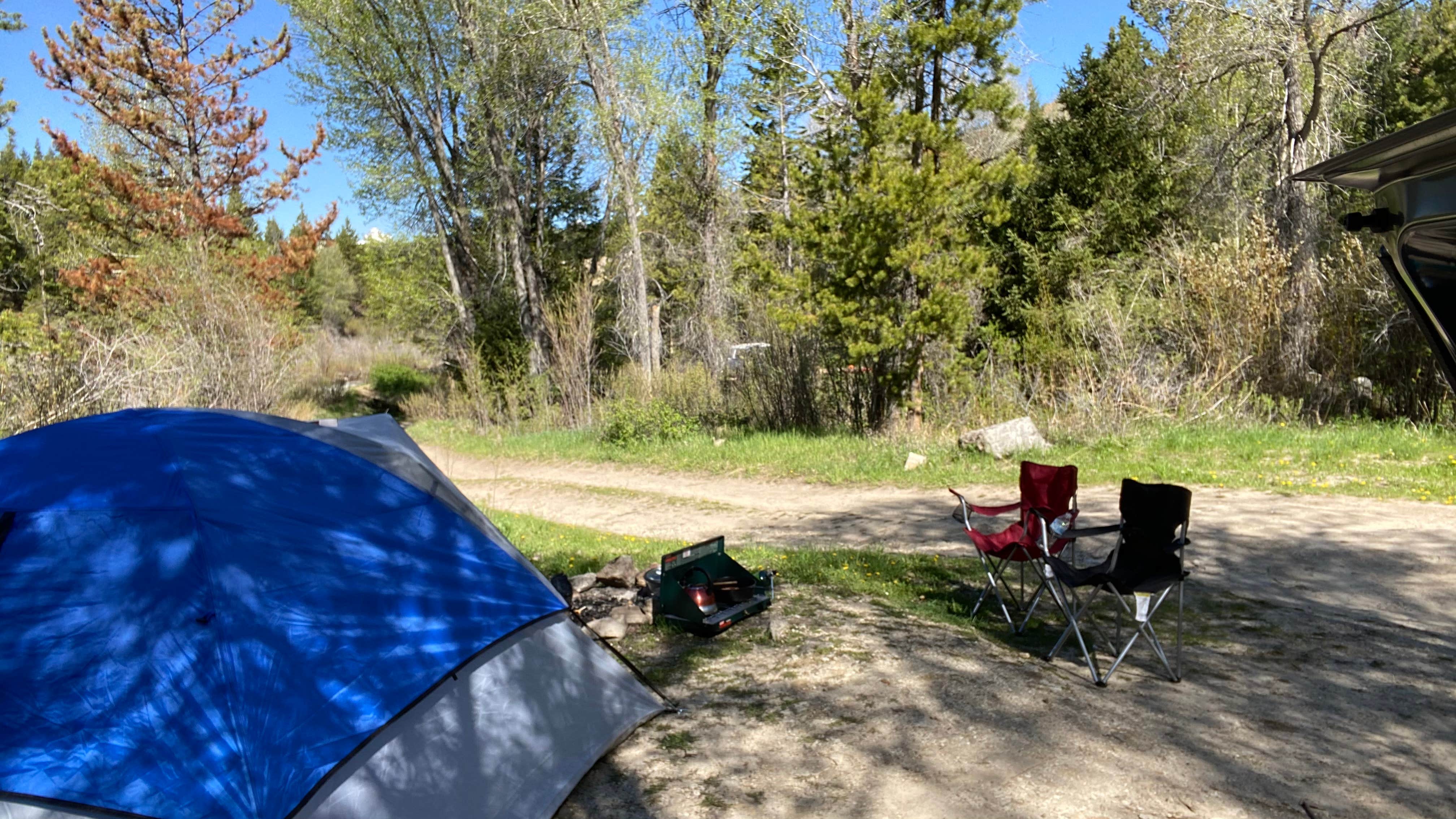 JPMC A.'s photo of tent camping at Taylor Ranch Road Dispersed Camping near Wilson, WY