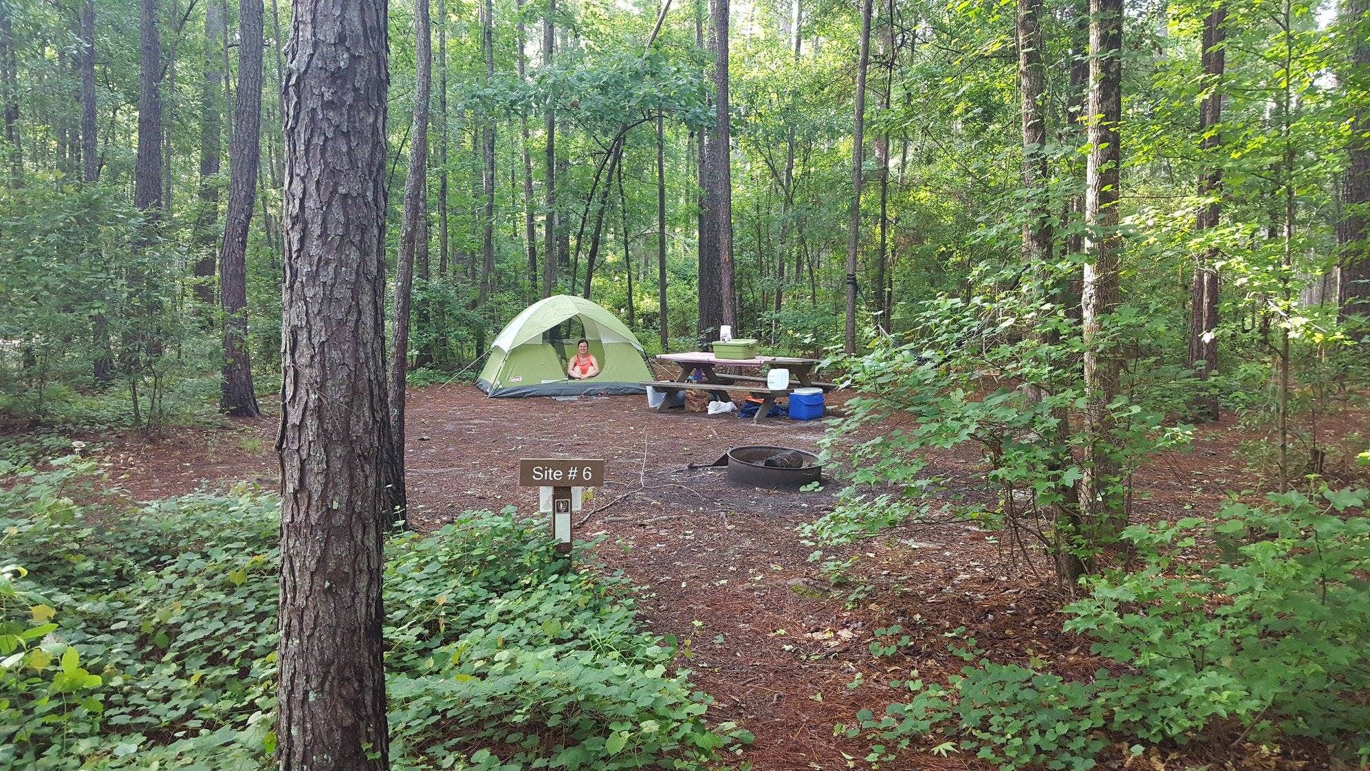 Sara W.'s photo of tent camping at Longleaf Campground — Congaree National Park near Hopkins, SC