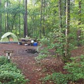 Review photo of Longleaf Campground — Congaree National Park by Sara W., June 10, 2018