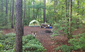 Sara W.'s photo of tent camping at Longleaf Campground — Congaree National Park in South Carolina