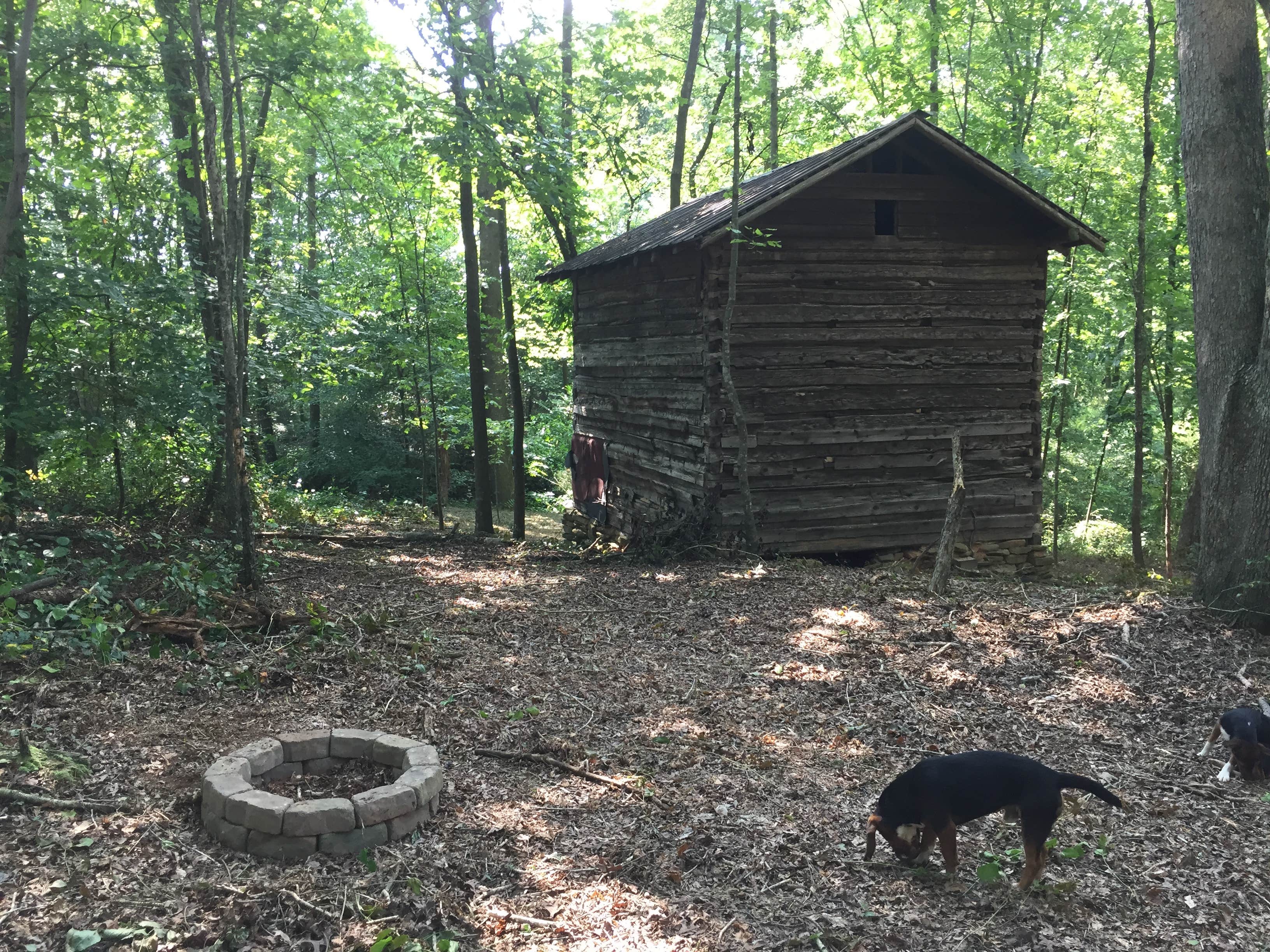 Sandra C.'s photo of camping with pets at Eden Oaks Vineyard and Campground near Mount Airy, NC
