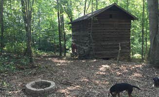 Sandra C.'s photo of camping with pets at Eden Oaks Vineyard and Campground near Elkin, NC