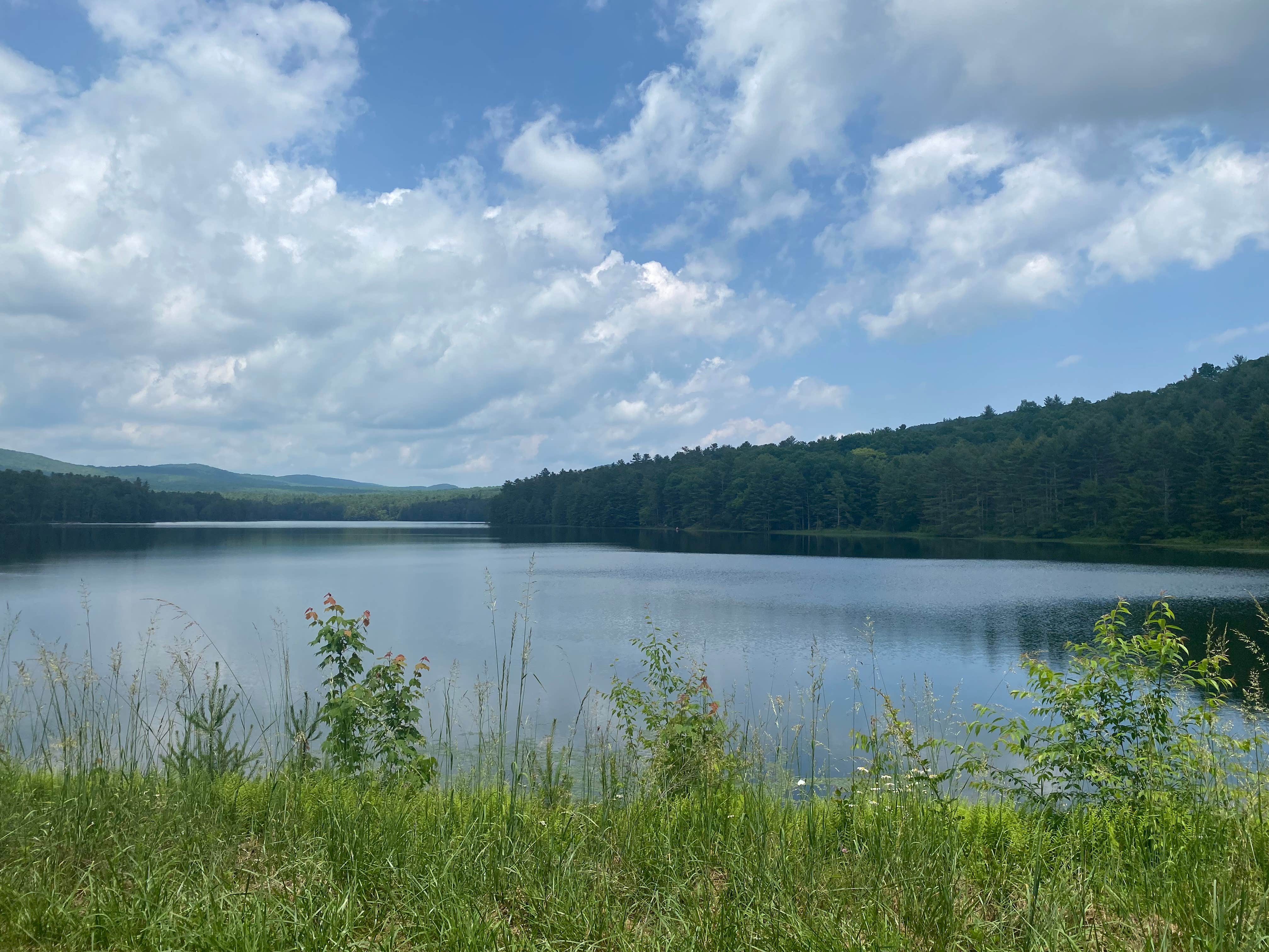 Lake Sherwood The Dyrt