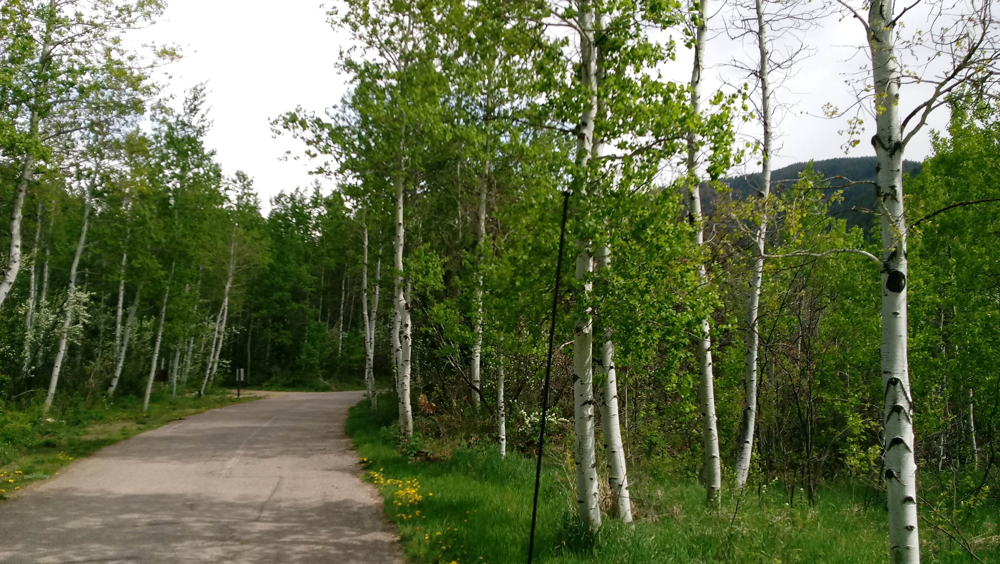 Camper-submitted photo at Difficult Campground near Crested Butte, CO