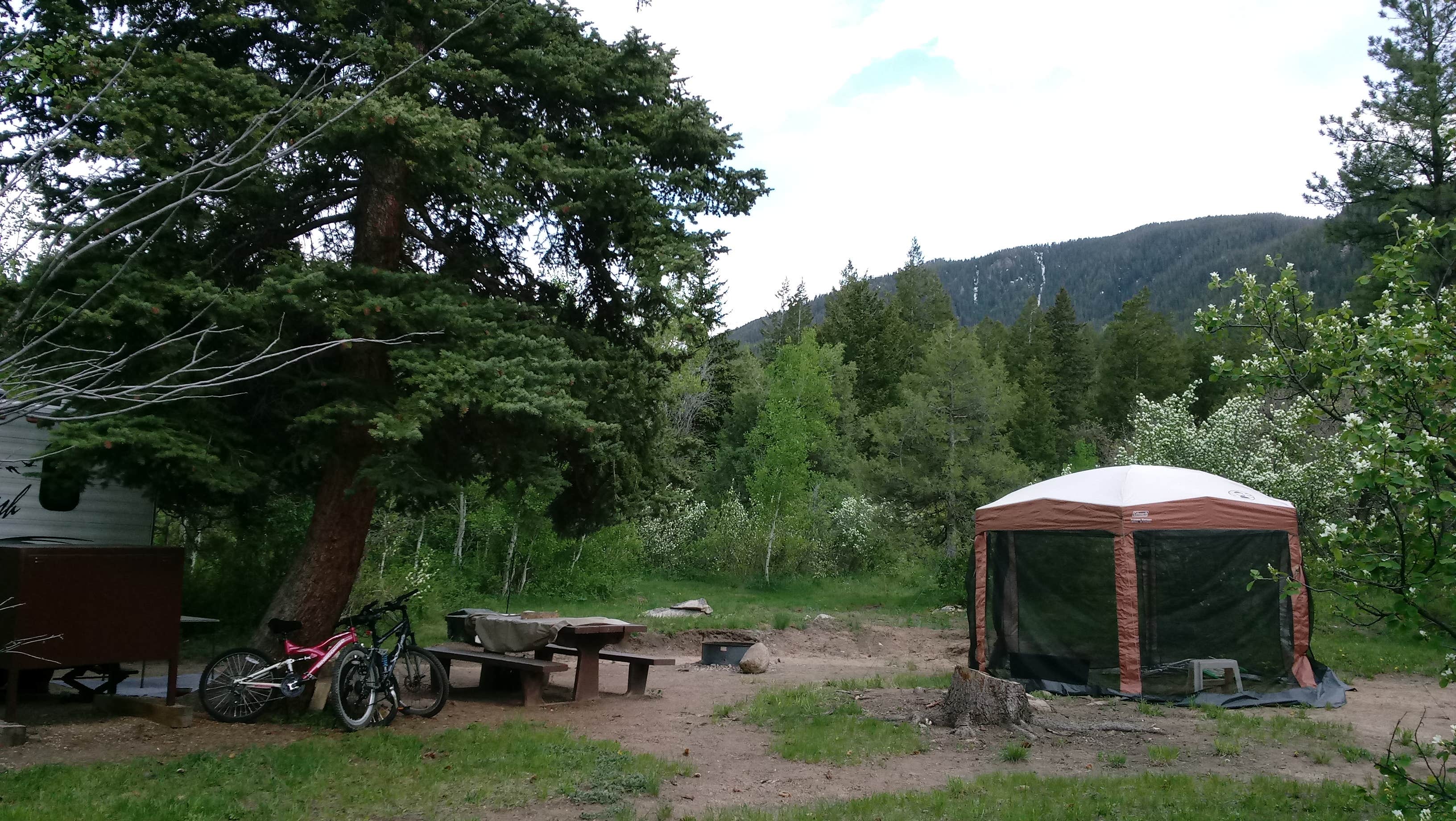 Victoria F.'s photo at Difficult Campground near Snowmass Village, CO