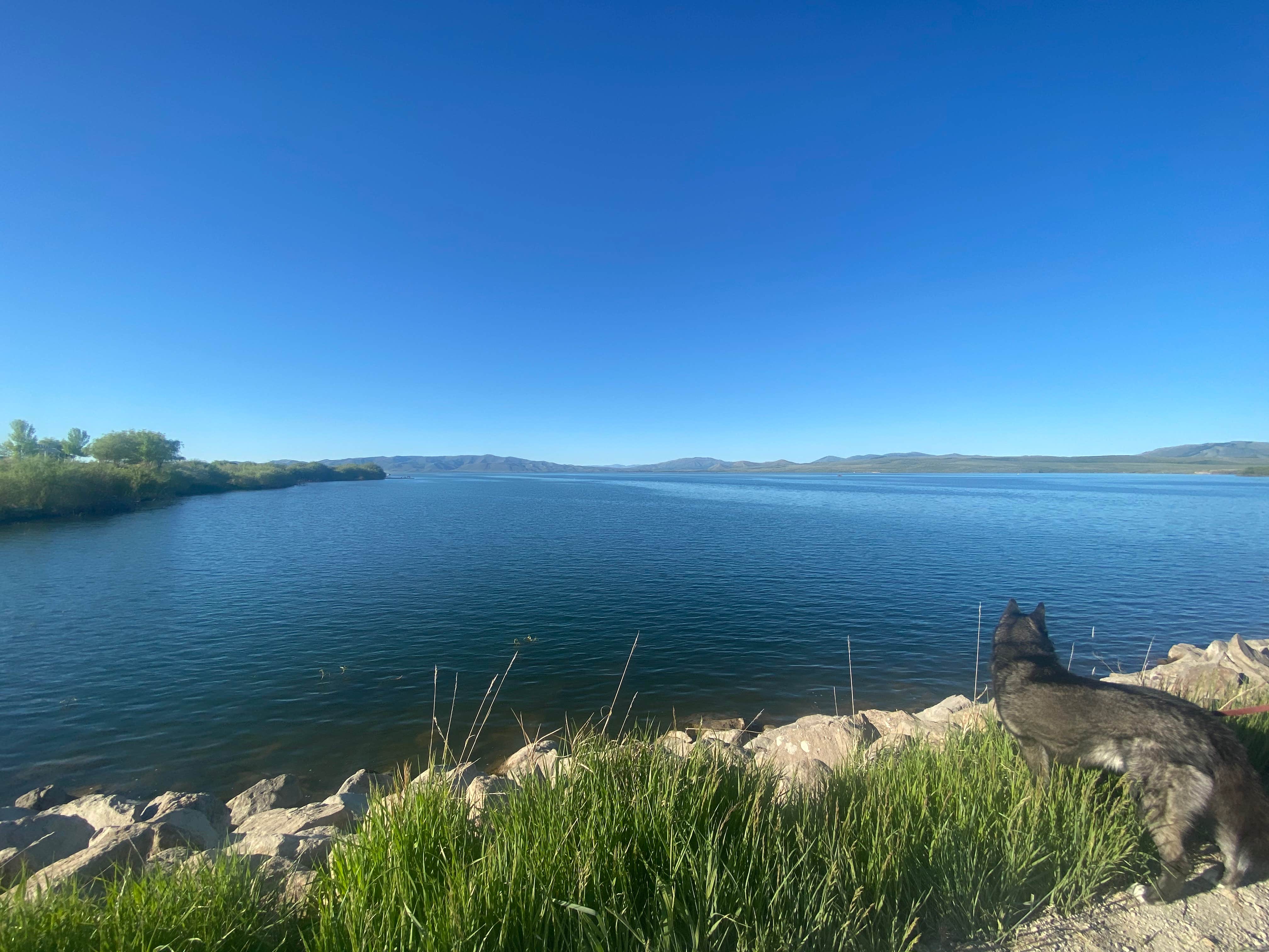 Camper submitted image from Blackfoot Reservoir Campground - 4