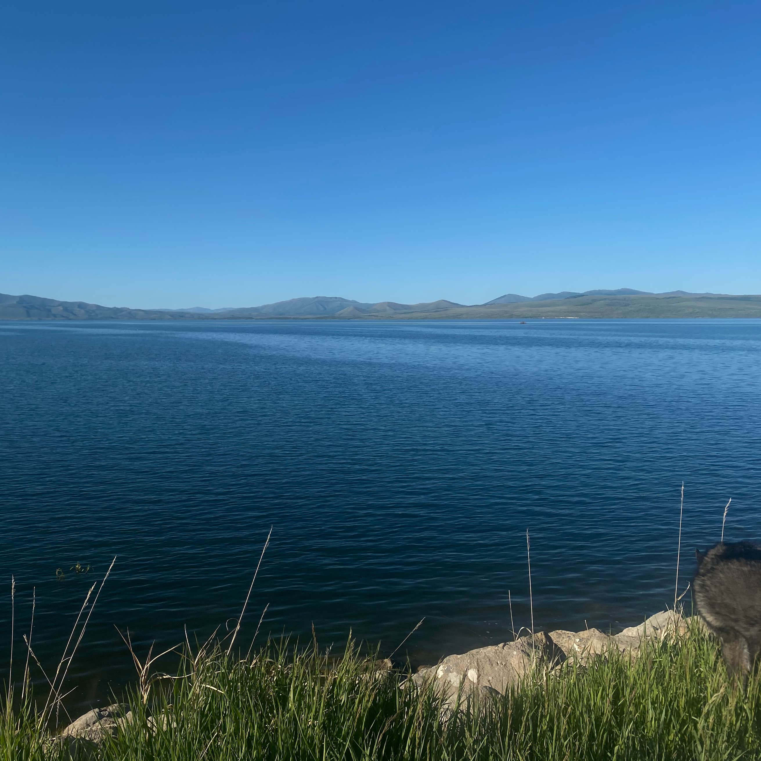 Blackfoot Reservoir Campground Camping The Dyrt