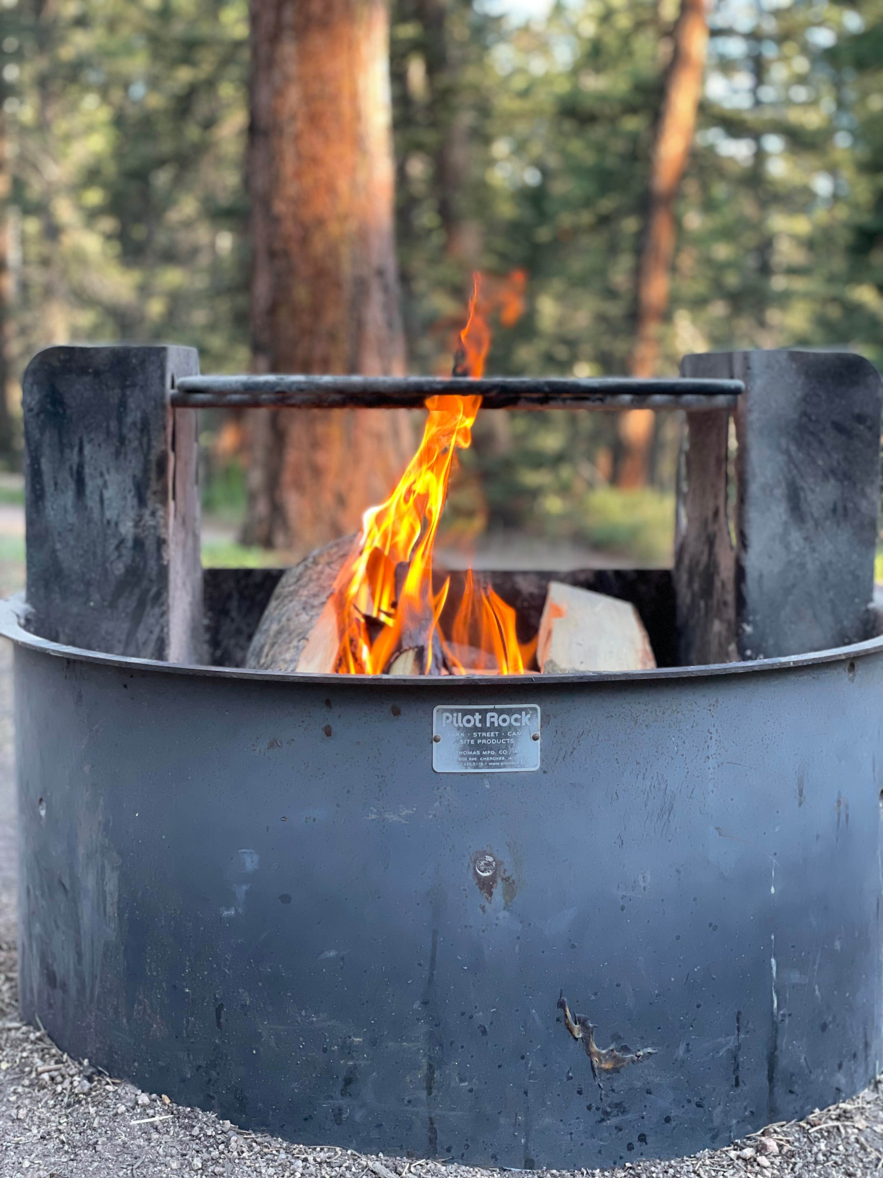 Camping near Rampart Reserve: Springdale Campground, Woodland Park, Colorado