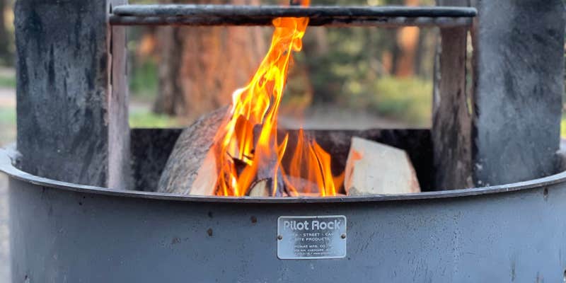 Camper submitted image from Springdale Campground