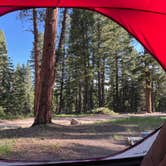 Review photo of Springdale Campground by Katie M., June 16, 2021