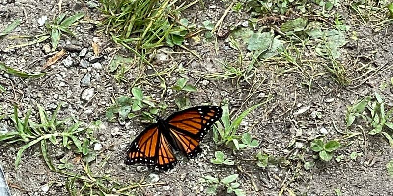 Camper submitted image from Onslow Beach Campsites