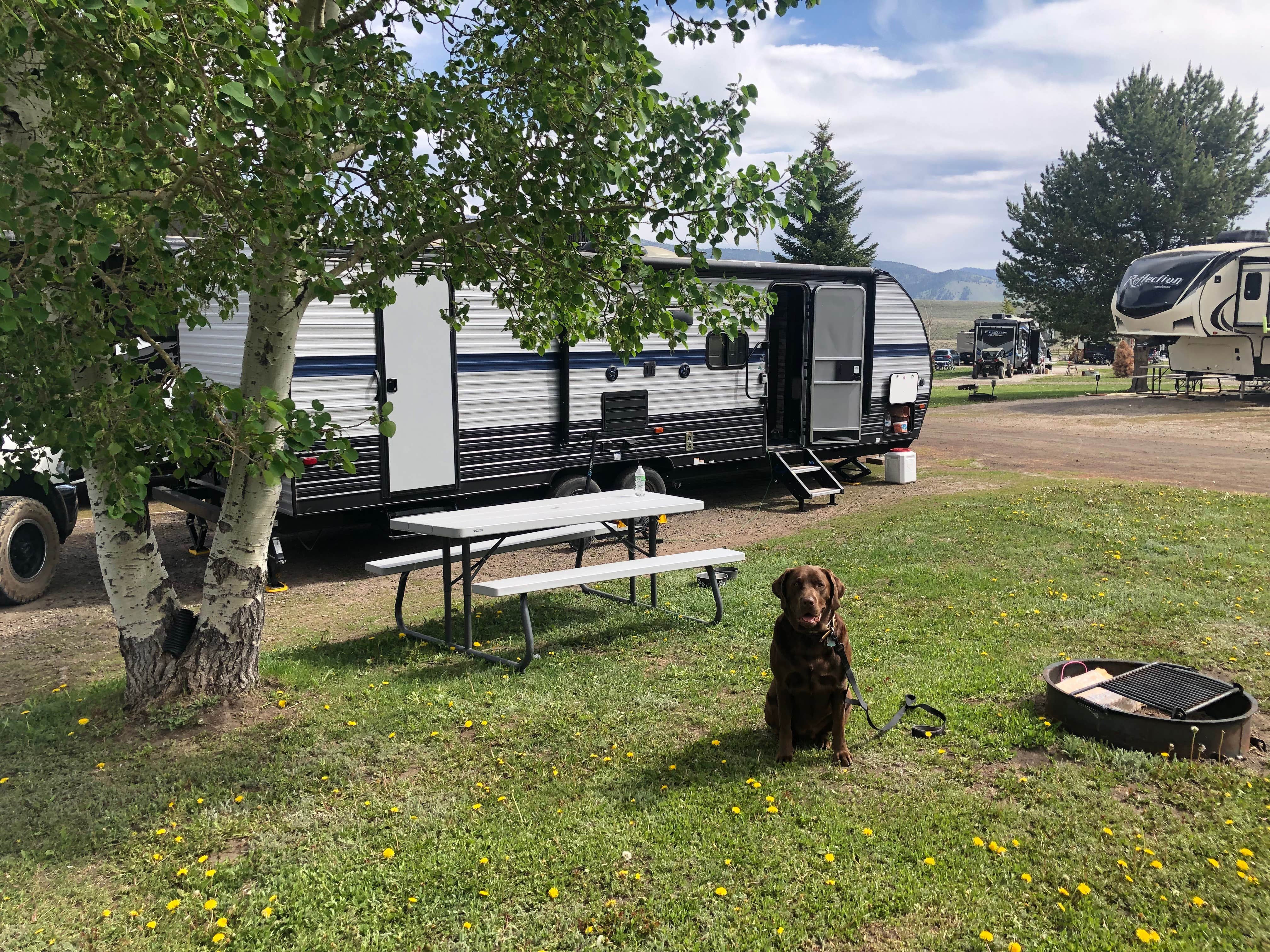 Daniel C.'s photo of camping with pets at Red Rock RV Park by Open Road Resorts near Island Park, ID