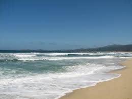 Camper submitted image from Half Moon Bay State Beach Campground - 3