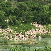 Review photo of Schreiner Park in Junction City - PERMANENTLY CLOSED by brandi , June 16, 2021