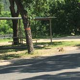 Review photo of Schreiner Park in Junction City - PERMANENTLY CLOSED by brandi , June 16, 2021