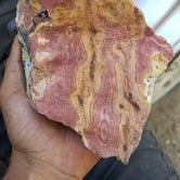 Review photo of Parowan Gap Petroglyphs by Alan B., June 10, 2018