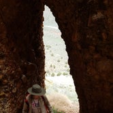 Review photo of Parowan Gap Petroglyphs by Alan B., June 10, 2018