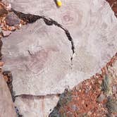 Review photo of Parowan Gap Petroglyphs by Alan B., June 10, 2018