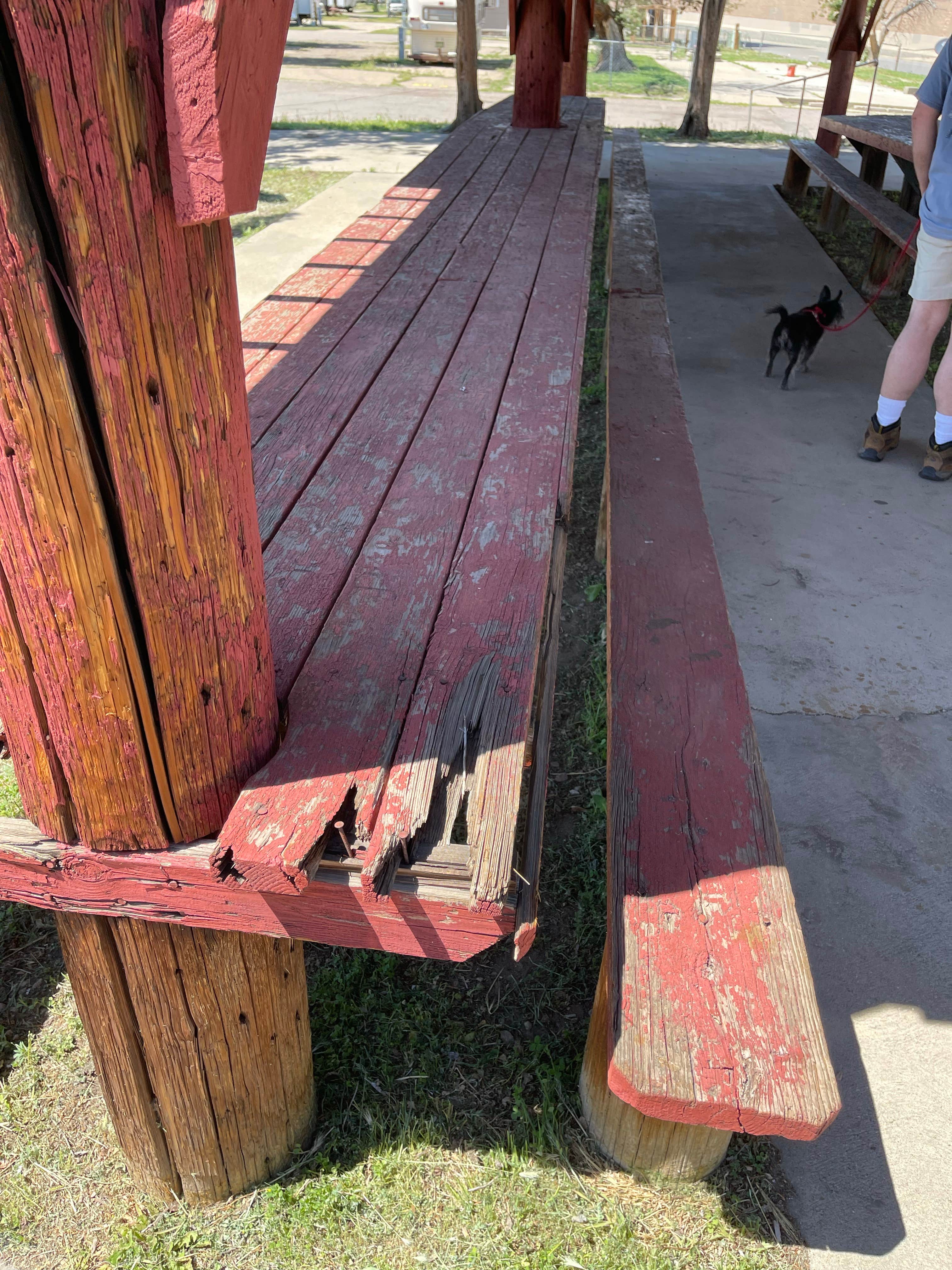 Julia S.'s photo of camping with pets at Denver Meadows RV Park near Twin Lakes, CO