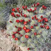 Review photo of Parowan Gap Petroglyphs by Alan B., June 10, 2018