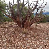 Review photo of Parowan Gap Petroglyphs by Alan B., June 10, 2018