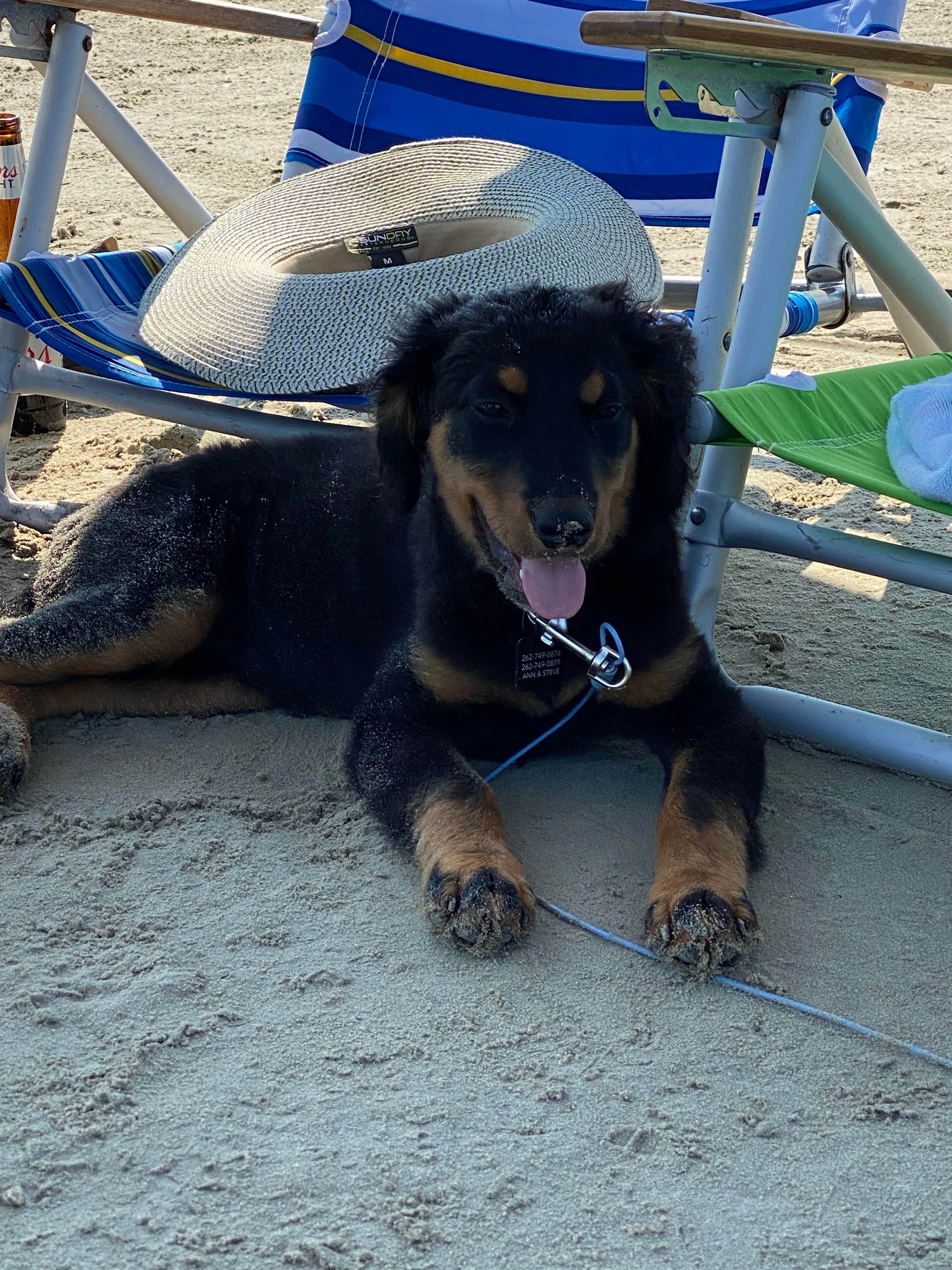 Charles M.'s photo of camping with pets at Galveston Island State Park Campground near Friendswood, TX
