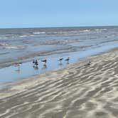 Review photo of Galveston Island State Park Campground by Charles M., June 16, 2021