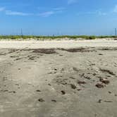 Review photo of Galveston Island State Park Campground by Charles M., June 16, 2021